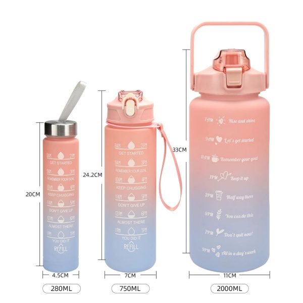 3 IN 1 Water Bottles with Straw and Handle - Image 7